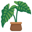 Plant and Flowerpot